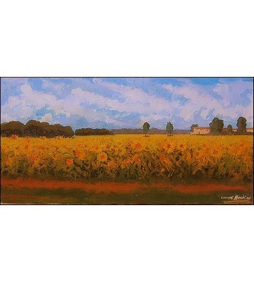 Girasoli impazziti di luce